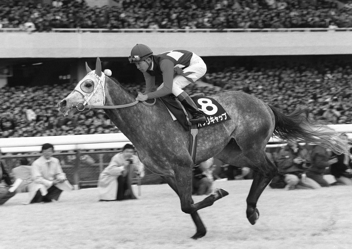 激レア競馬 馬券 名馬 テンポイント 忘れられない昭和の名馬 2位はテンポイント、1位は？｜NEWSポストセブン
