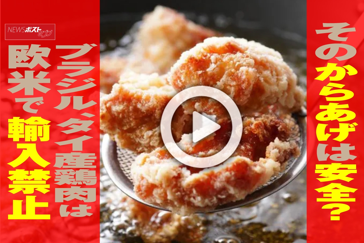 鶏肉 ブラジル 産 安全 性
