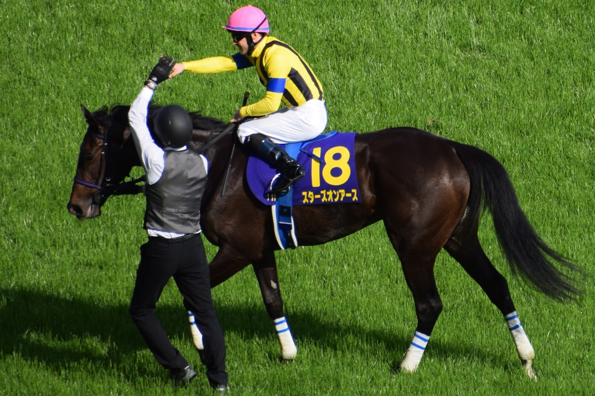 元騎手・蛯名正義氏が振り返る、3歳牝馬三冠を達成した2010年アパパネ