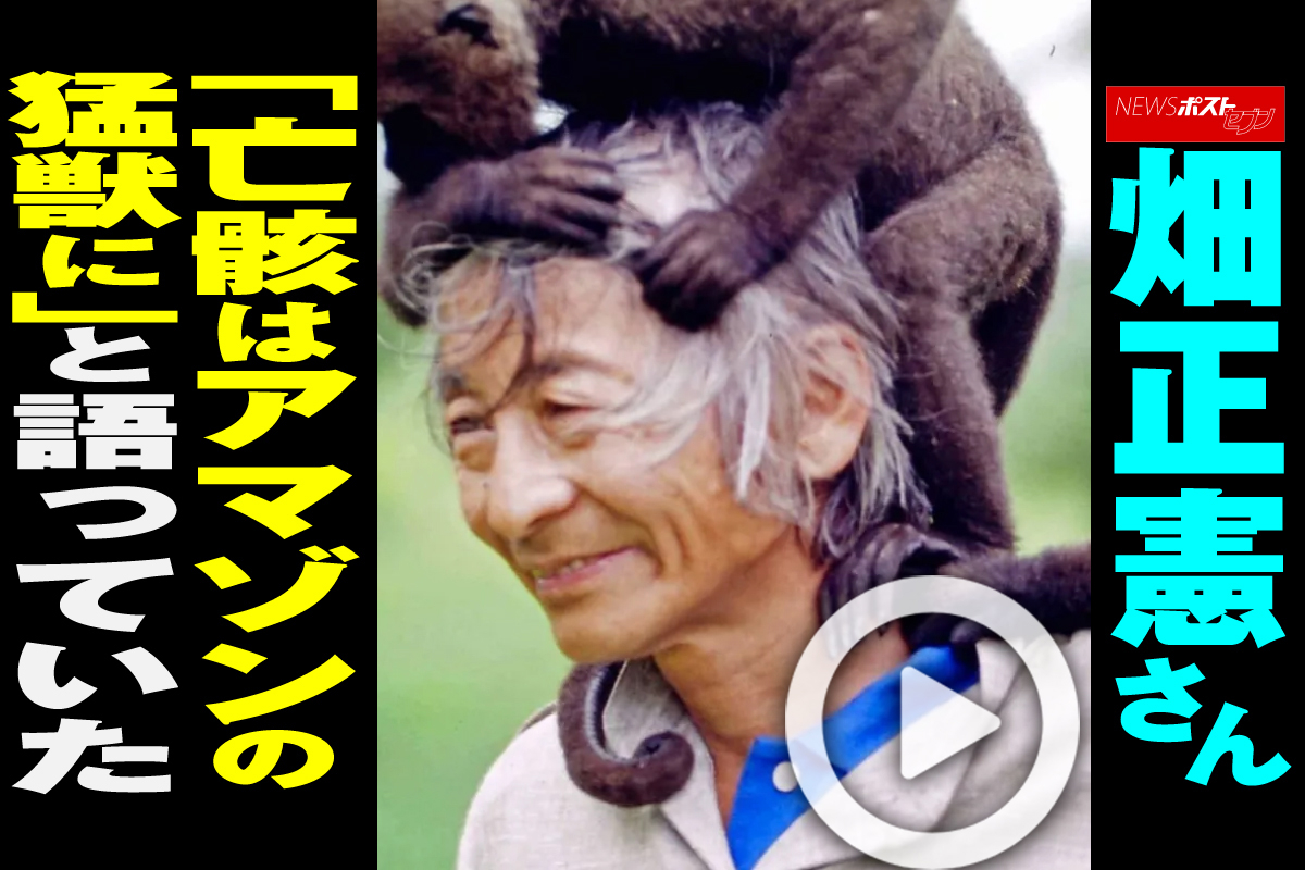 公の場での発言・インタビュー報道記録