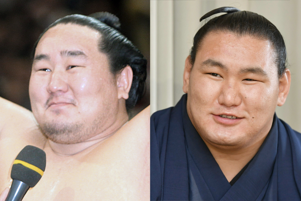 豊昇 龍 朝 青龍