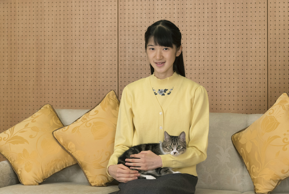 適応 障害 雅子 さま