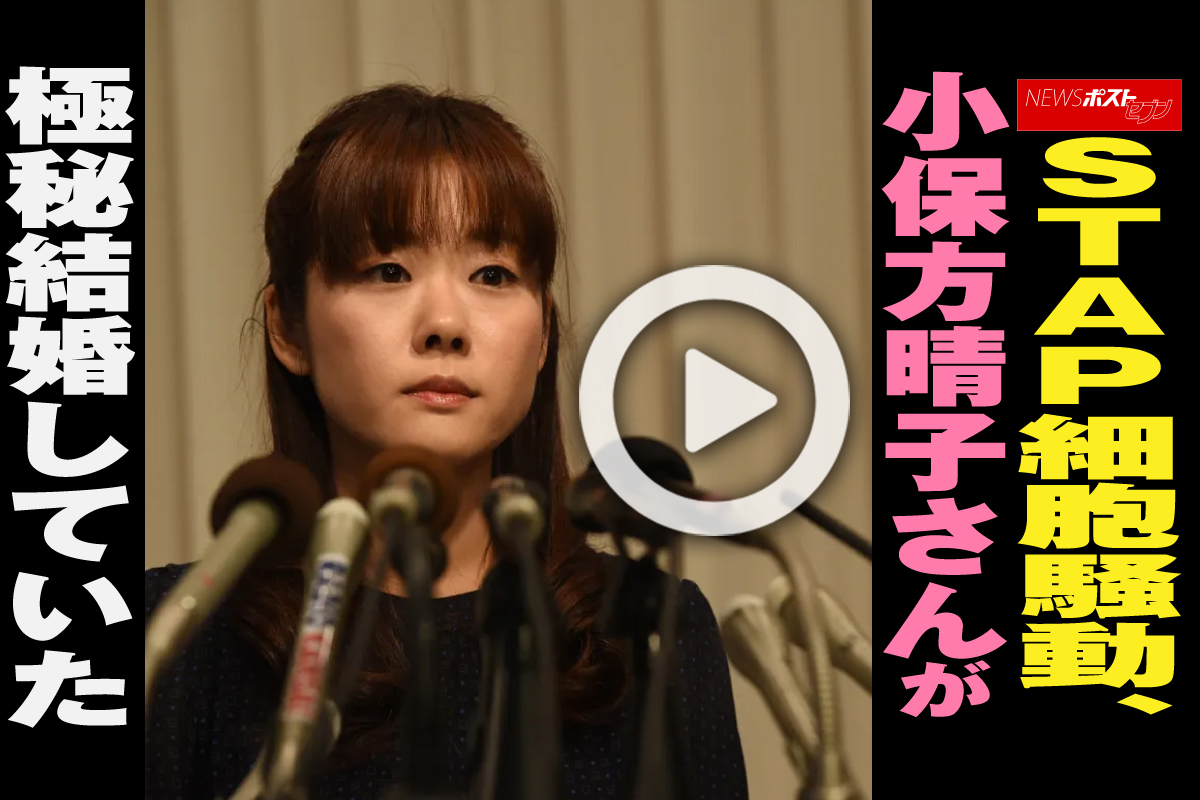 小保方 さん 現在