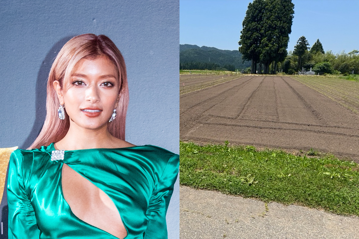 公の場での発言・インタビュー報道記録
