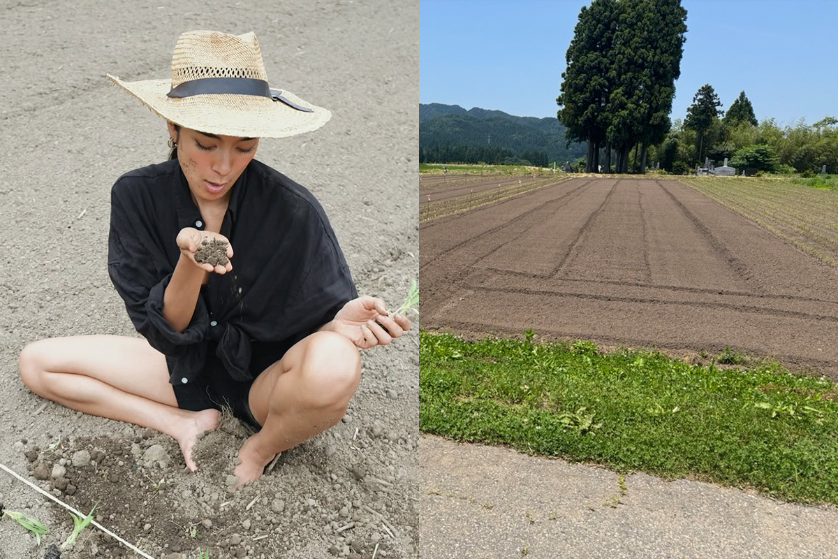 ローラ 新潟 どこ