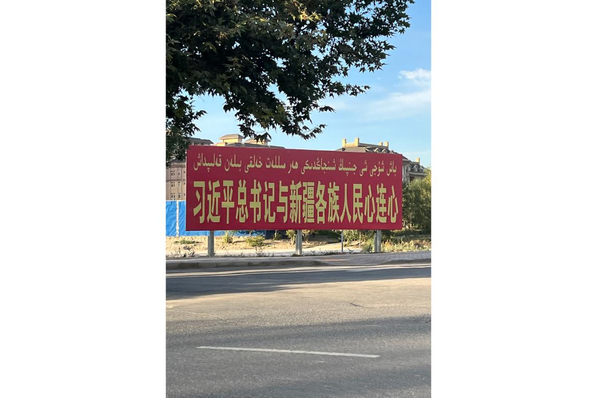 中国新疆維吾爾自治区档案館等編 解説 CDROMつき 新疆ウイグル自治区潜入ルポ》日本で撮影した反中デモの写真が見つかり