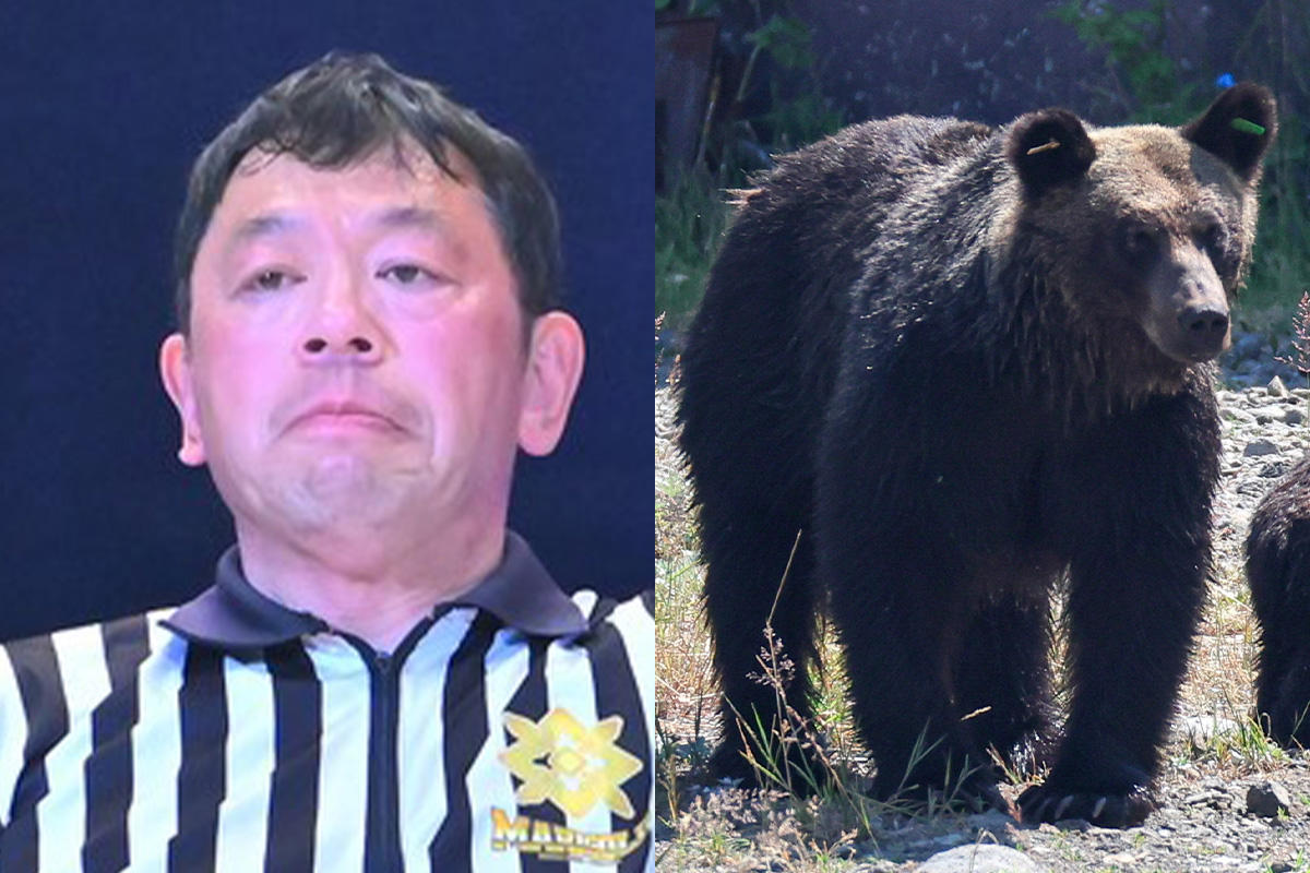 熊 被害 者