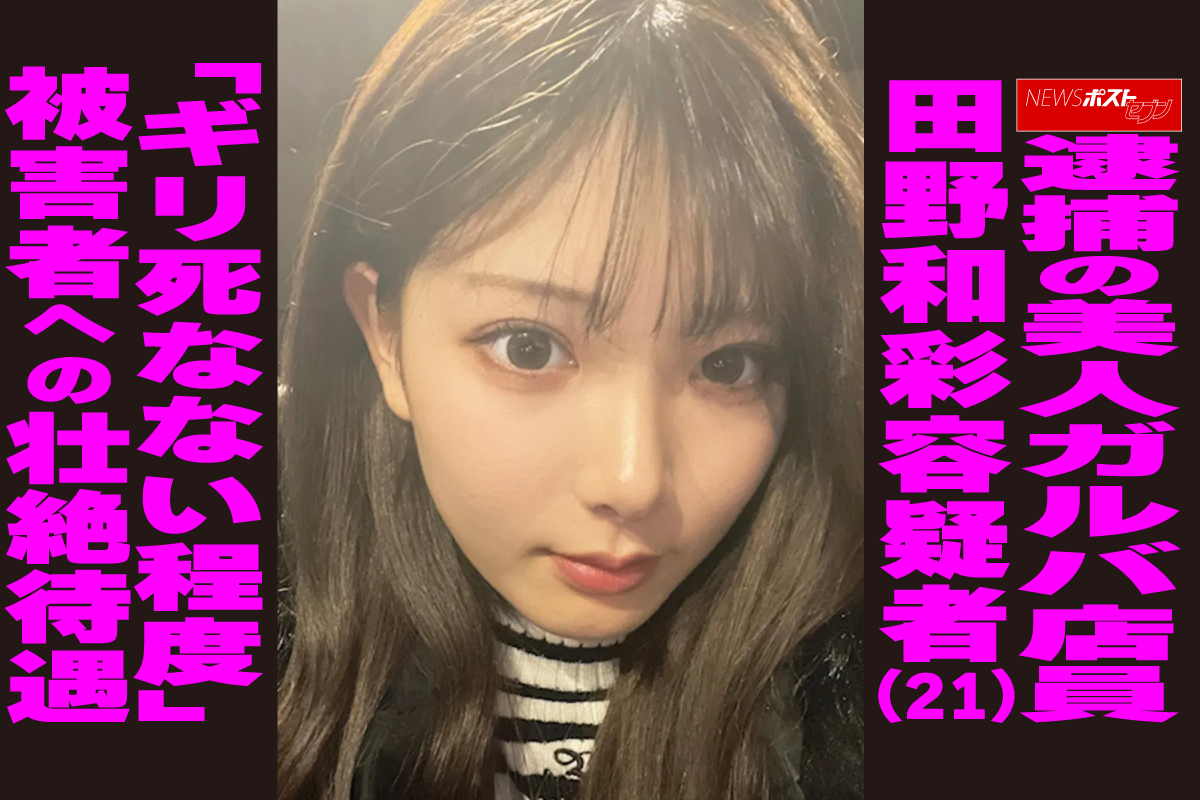 美人 犯罪 者