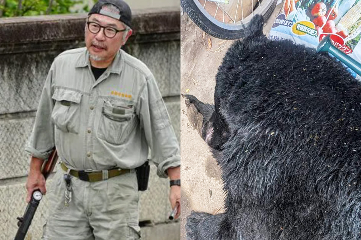 写真】《宇都宮・徘徊クマは体重100キロ級》「不謹慎かもしれませんが